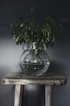 Ernst Glazen Vaas Doorzichtig, 38 Cm 10 Ernst Glazen Vaas Doorzichtig, 38 Cm -Algemene Woonwinkel ernst glass vase clear 12