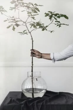 Ernst Glazen Vaas Doorzichtig, 38 Cm 11 Ernst Glazen Vaas Doorzichtig, 38 Cm -Algemene Woonwinkel ernst glass vase clear 13