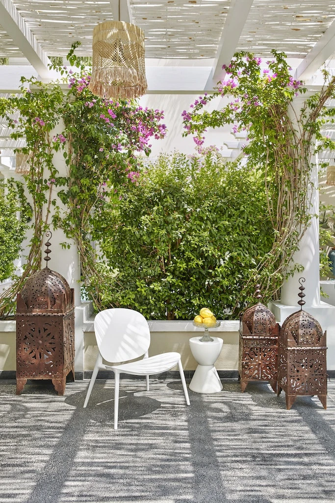 Kartell Prince Aha Kruk, Waswit 4 Kartell Prince Aha Kruk, Waswit - Afbeelding 2