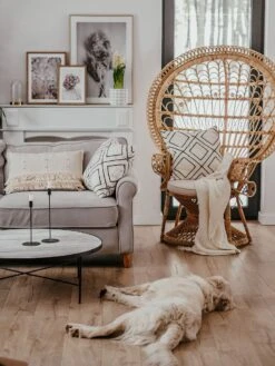 Pauwenstoel Rotan Natuurlijk EMMANUELLE -Algemene Woonwinkel undef src sa picid 800784 type whitesh image