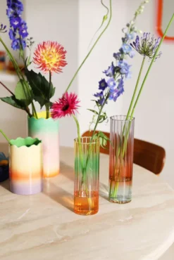 & Klevering &klevering Gradient Vaas Large -Algemene Woonwinkel x886x886 klevering fade vaas small2.jpg.pagespeed.ic . tFl4aaA0W