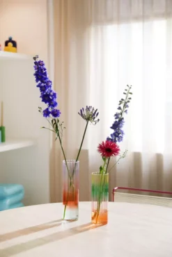 & Klevering &klevering Gradient Vaas Large -Algemene Woonwinkel x886x886 klevering gradient vaas large2.jpg.pagespeed.ic .r UfIpQxXC