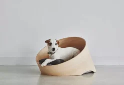 MiaCara Covo Hondenmand Ø60 Walnoot, Kussen Taupe -Algemene Woonwinkel x886x886 miacara covo hondenmand small3.jpg.pagespeed.ic .0HXNMHrivb