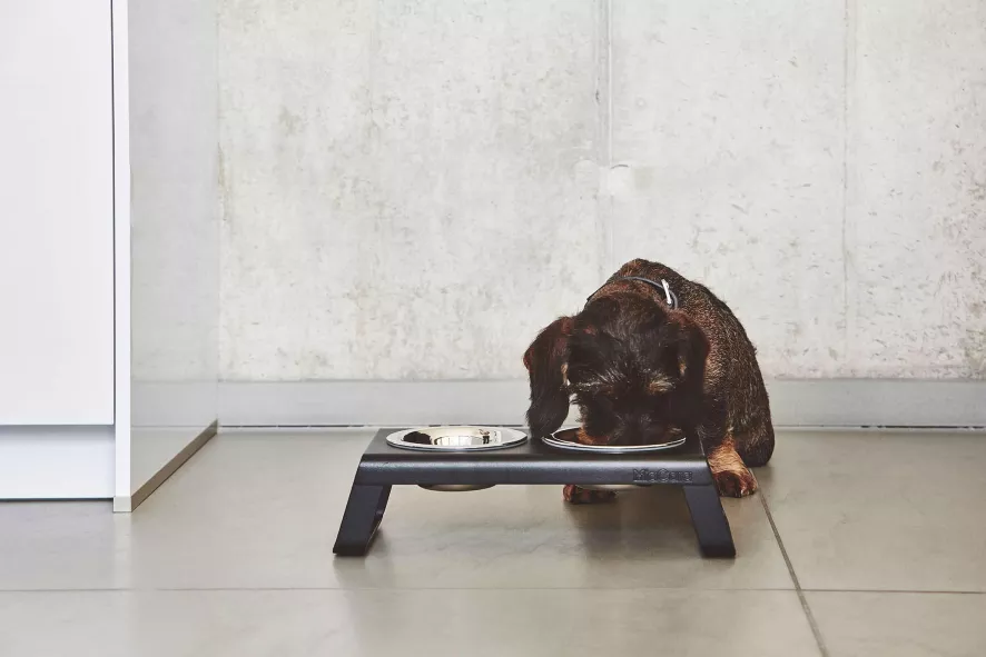 MiaCara Desco Hondenvoerbak Small Essen Zwart 4 MiaCara Desco Hondenvoerbak Small Essen Zwart - Afbeelding 2