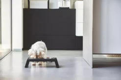 MiaCara Desco Hondenvoerbak Small Essen Zwart 15 MiaCara Desco Hondenvoerbak Small Essen Zwart -Algemene Woonwinkel x886x886 miacara desco hondenvoerbak medium23.jpg.pagespeed.ic .l3VZwi4VJ2