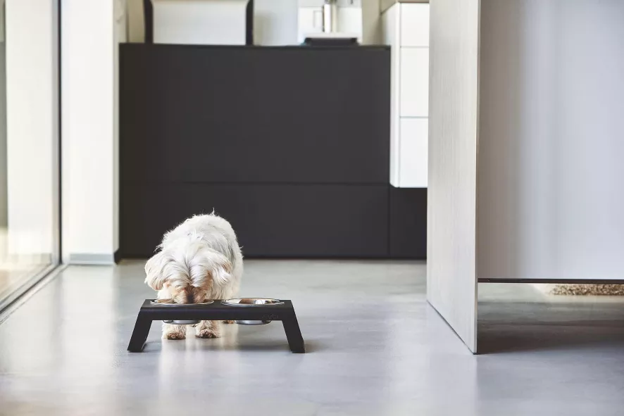 MiaCara Desco Hondenvoerbak Small Essen Zwart 9 MiaCara Desco Hondenvoerbak Small Essen Zwart - Afbeelding 7