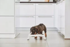 MiaCara Desco Hondenvoerbak Small Essen Zwart 14 MiaCara Desco Hondenvoerbak Small Essen Zwart -Algemene Woonwinkel x886x886 miacara desco hondenvoerbak medium24.jpg.pagespeed.ic .aUY84Z4sB