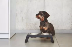 MiaCara Desco Hondenvoerbak Small Essen Zwart 11 MiaCara Desco Hondenvoerbak Small Essen Zwart -Algemene Woonwinkel x886x886 miacara desco hondenvoerbak medium34.jpg.pagespeed.ic .1Ds QXa7yc